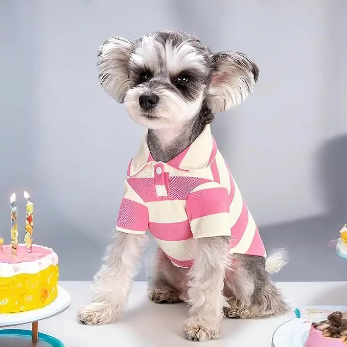 Stripe Dog Shirt Breathable Polo Shirts Summer Dog Clothes for Small Medium Dogs Cat Girl Boy Puppy Chihuahua Yorkie Pet Apparel